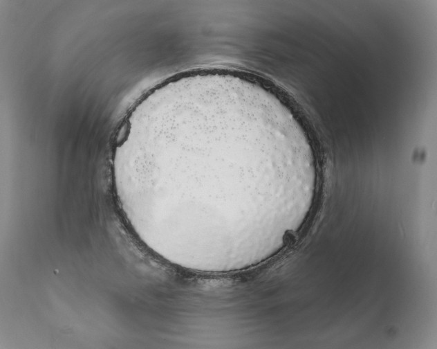 X0000111911363200908241017