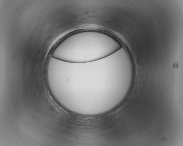 X0000111911364200908241017