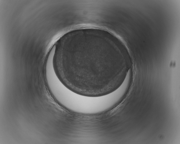 X0000111911365200908241017