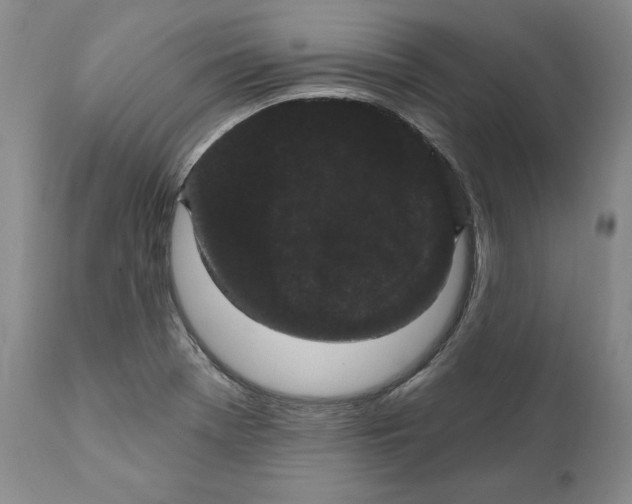 X0000111911369200908241017