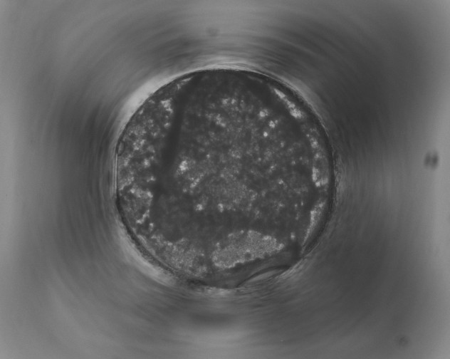 X0000111911371200908241017