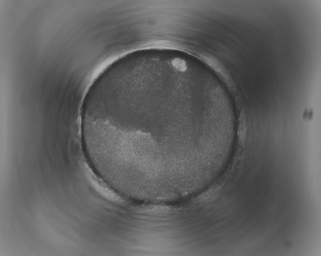 X0000111911372200908241017