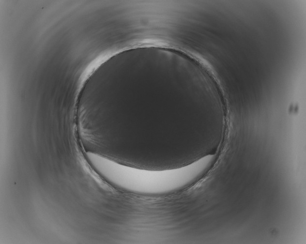 X0000111911373200908241017