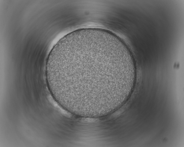 X0000111911374200908241017