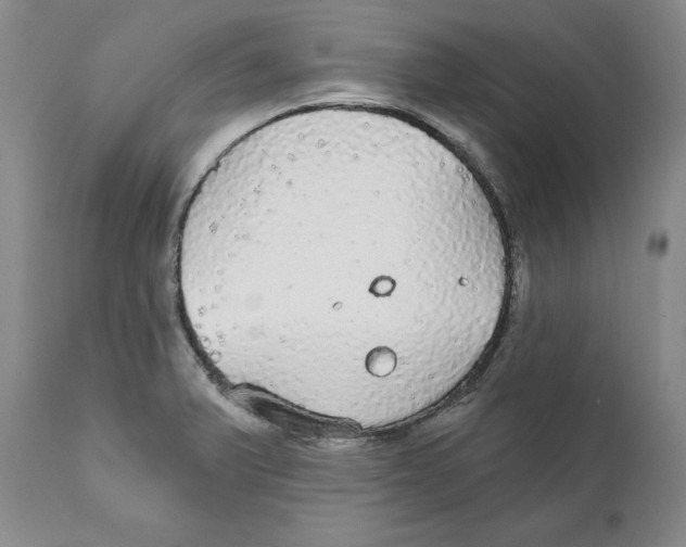 X0000111911375200908241017