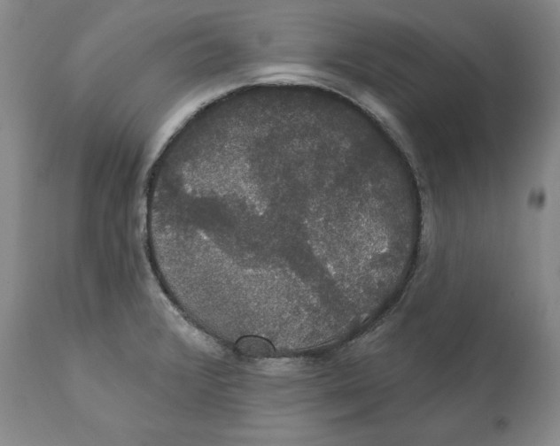 X0000111911376200908241017