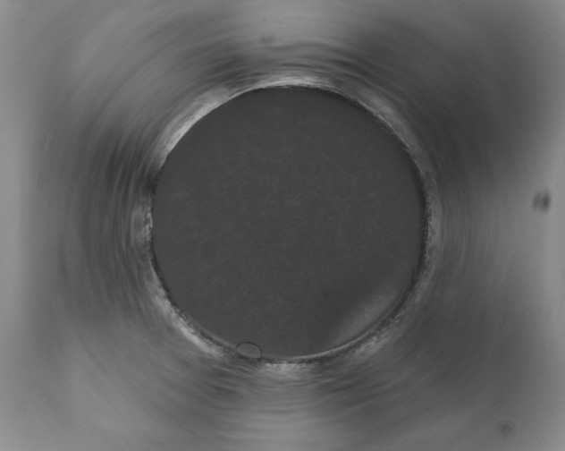 X0000111911377200908241017