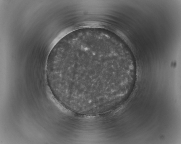 X0000111911378200908241017