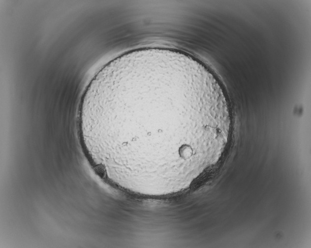 X0000111911379200908241017