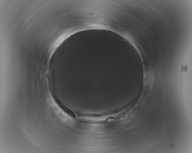 X0000111911381200908241016