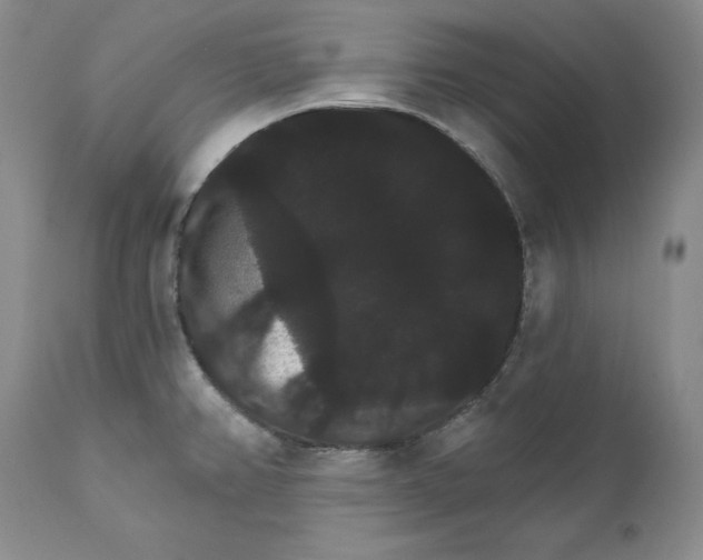 X0000111911382200908241016