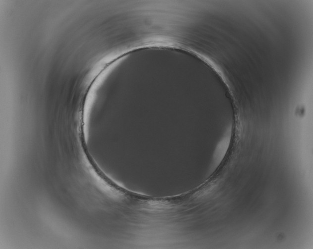 X0000111911383200908241016