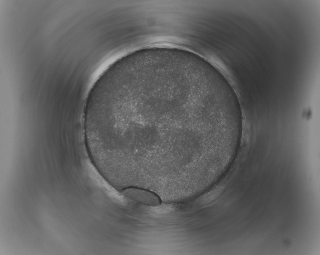 X0000111911384200908241016