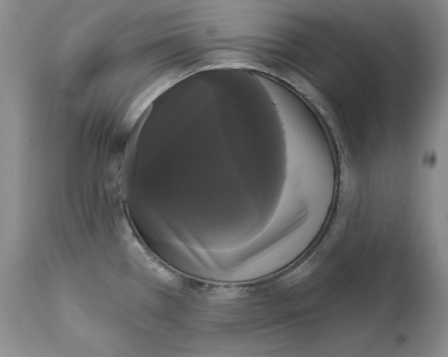 X0000111911385200908241016