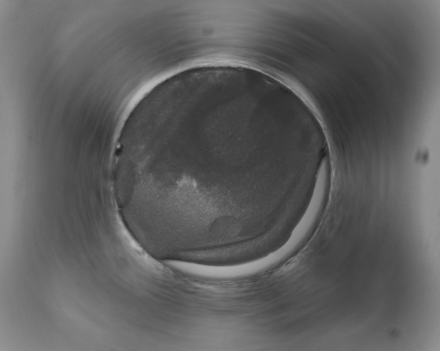 X0000111911388200908241016