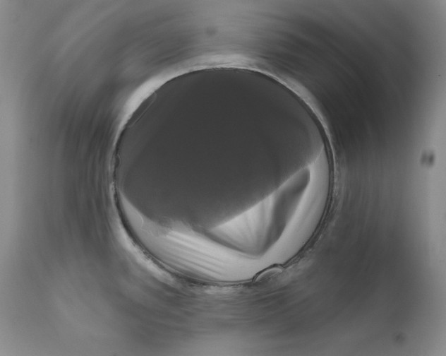 X0000111911389200908241016