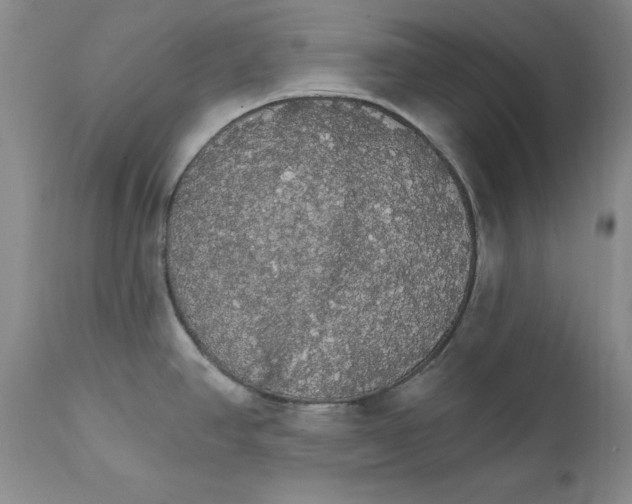 X0000111911390200908241016