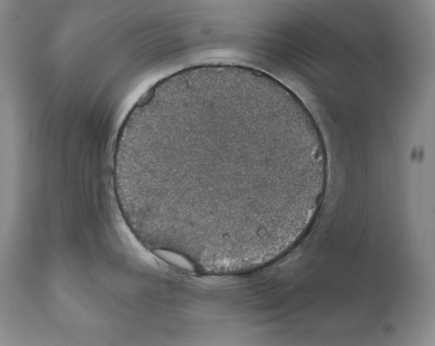 X0000111911392200908241016