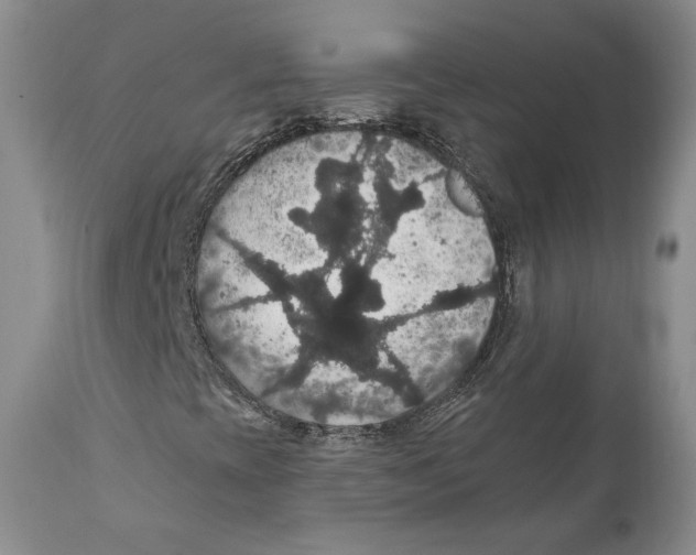 X0000111911393200908241015