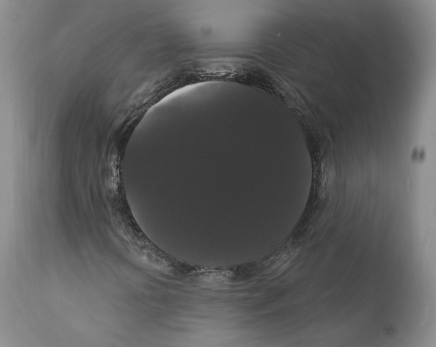 X0000111911394200908241016