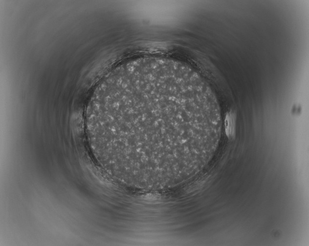X0000111911395200908241016