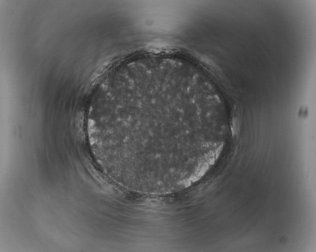 X0000111911396200908241016