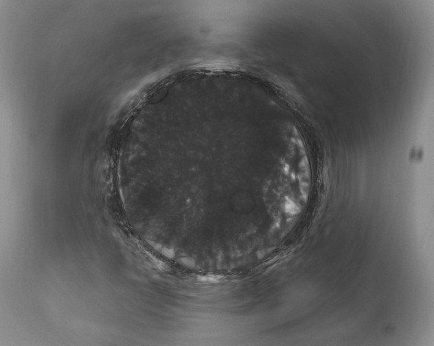 X0000111911398200908241016