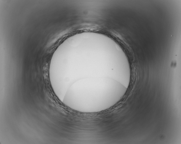 X0000111911399200908241016