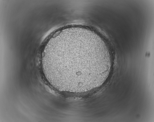 X0000111911400200908241016