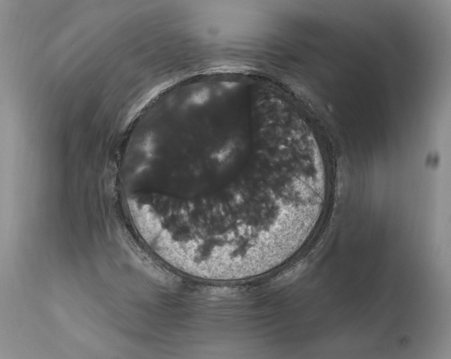 X0000111911401200908241016