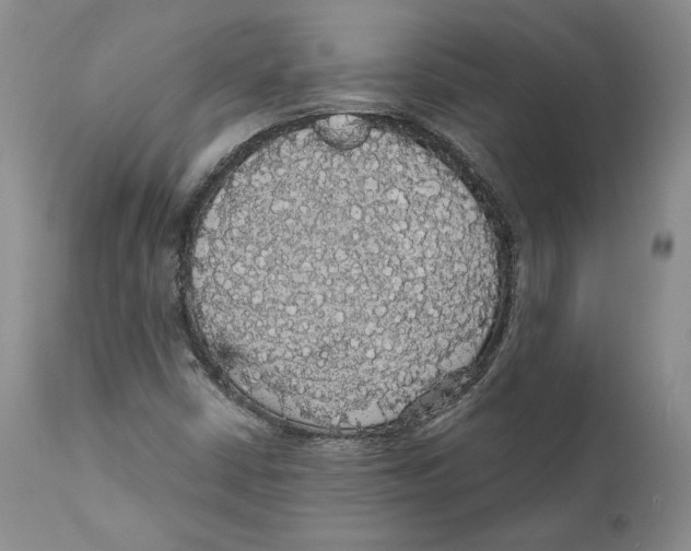 X0000111911402200908241016