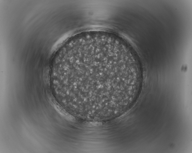 X0000111911403200908241016