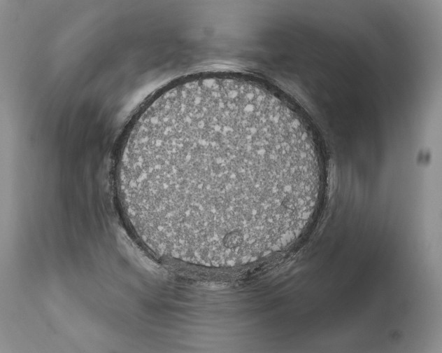 X0000111911404200908241016