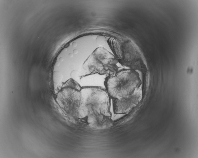 X0000111911405200908241016
