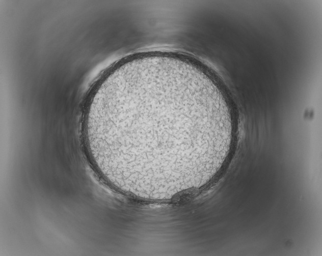 X0000111911406200908241016