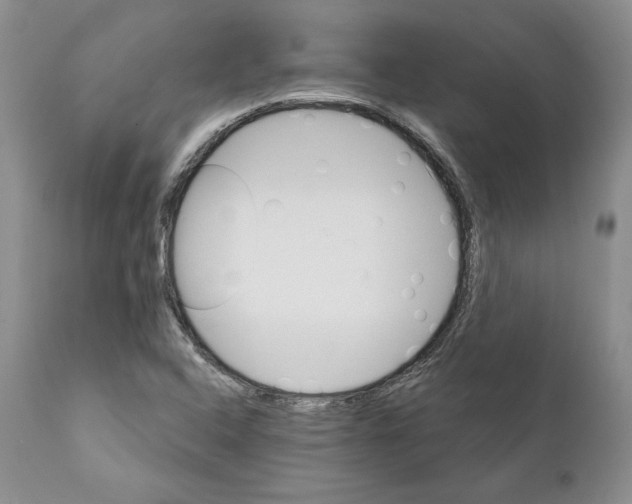 X0000111911408200908241016