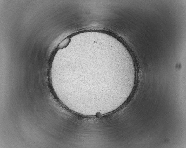 X0000111911410200908241016