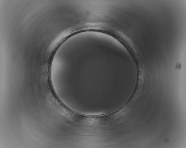 X0000111911411200908241016