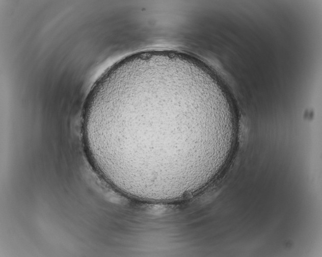 X0000111911412200908241016