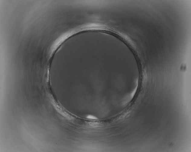 X0000111911413200908241016