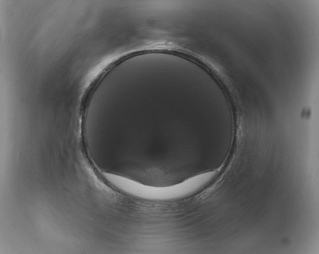 X0000111911414200908241016