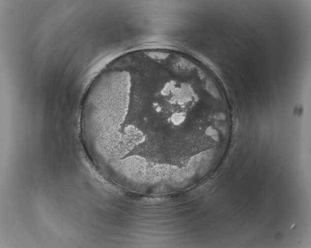 X0000111911415200908241016