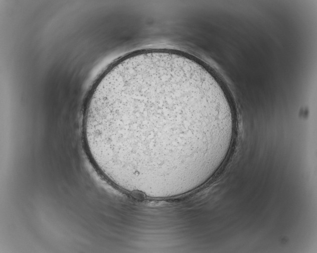 X0000111911416200908241016