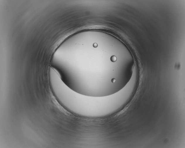 X0000111911417200908241016