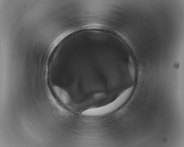 X0000111911418200908241016