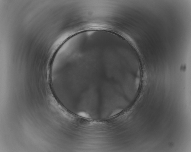 X0000111911419200908241016