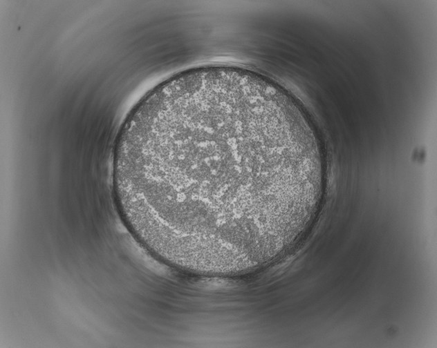 X0000111911420200908241016