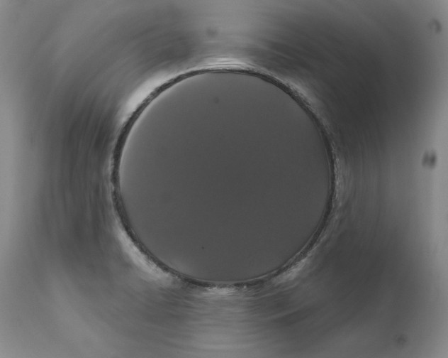 X0000111911422200908241016