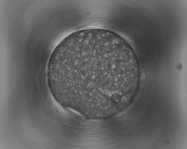 X0000111911423200908241016