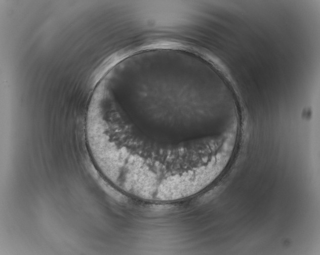 X0000111911425200908241016
